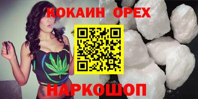 амф Гатчина