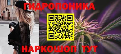 амф Гатчина