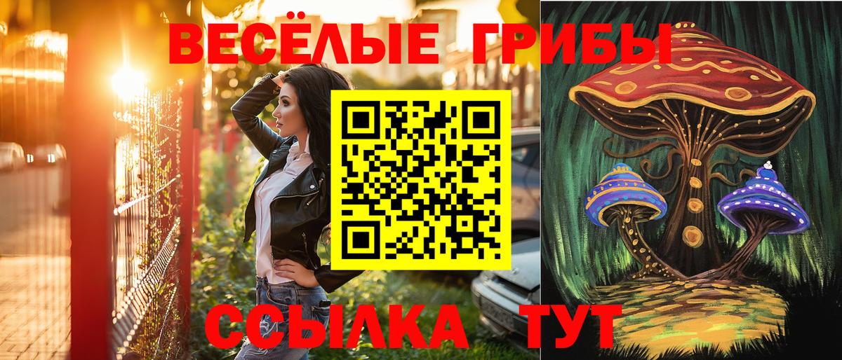 Псилоцибиновые грибы Psilocybe  продажа наркотиков  Светлоград  Вход с VPN  Псилоцибиновые грибы Magic Shrooms 