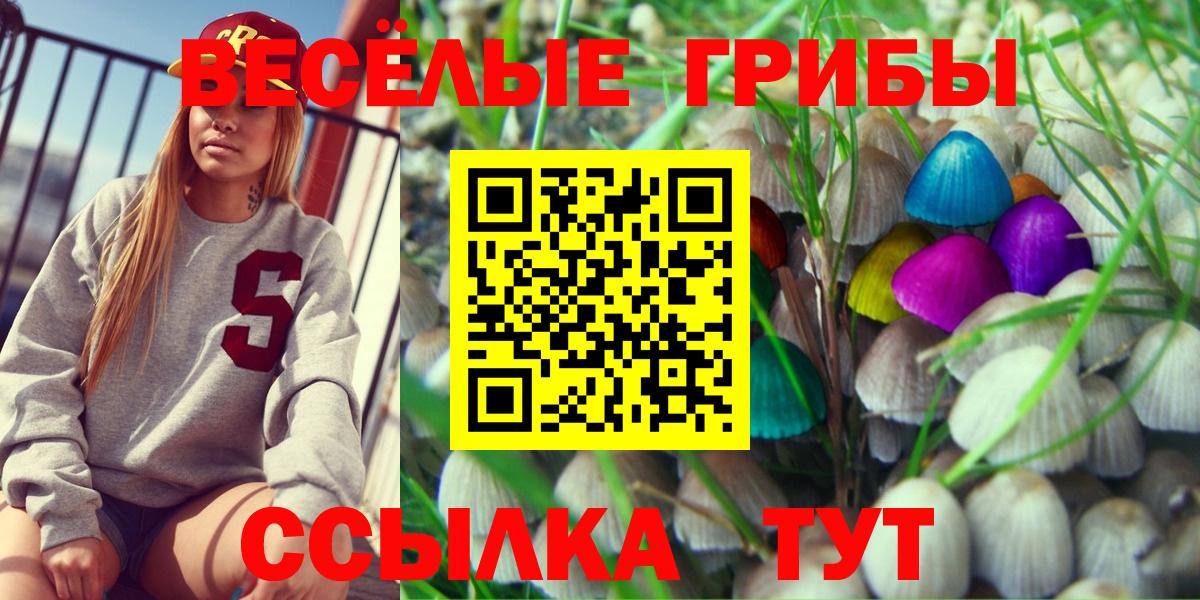 Галлюциногенные грибы прущие грибы Светлоград